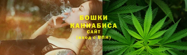 гидра Белоозёрский