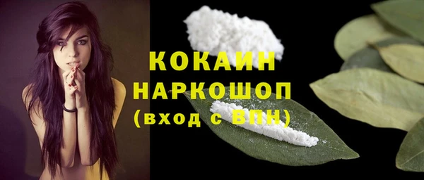 гидра Белоозёрский