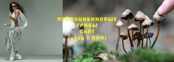 a pvp Беломорск