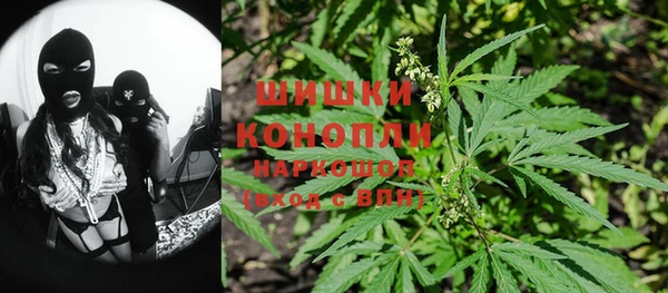 гидра Белоозёрский