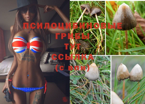 гидра Белоозёрский