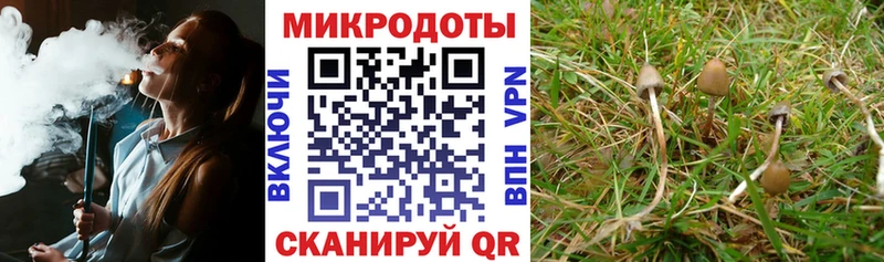 Галлюциногенные грибы ЛСД  Цоци-Юрт 