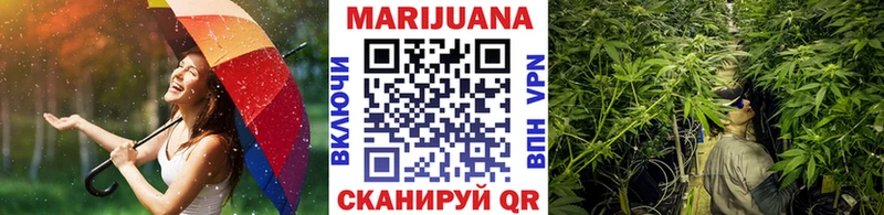 где найти наркотики  Цоци-Юрт  Каннабис SATIVA & INDICA 